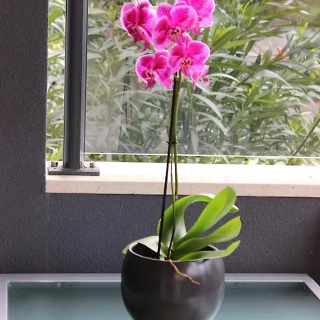 Lägenhet Marine Lux