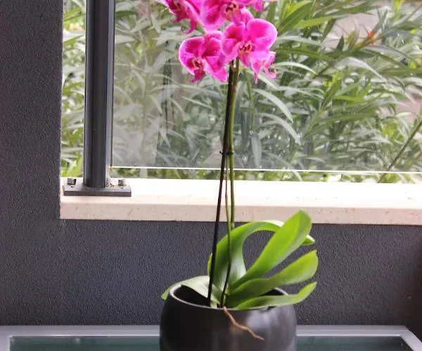 Διαμέρισμα Marine Lux